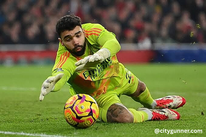 @citygunner.com_-4 Arsenal Player of the Season Voting: Raya Finished Third